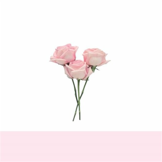 Tutorial de desahogo mejorado para todos