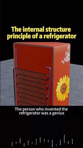 The internal structure principle of a refrigerator #knowledge #science