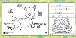 Spring Baby Animals Colouring Pack