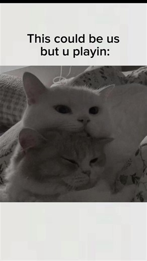 Your loss 😔 #cats #catmeme #relationship #love