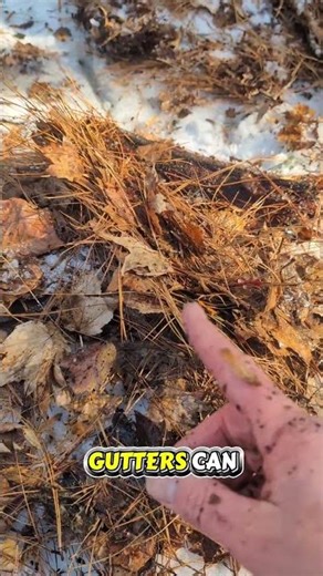 Frozen Gutter Cleaning in Winter | How We Remove Ice & Debris Safely ❄️