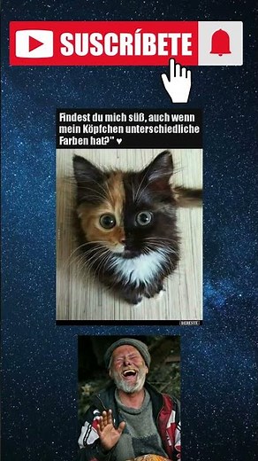 🤣 99% KÖNNEN NICHT DURCHHALTEN! Deutsche Witze Compilation r #nichtlachen #challenge #trynottolaugh