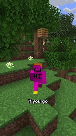 the SECRET farlands... | farlands minecraft