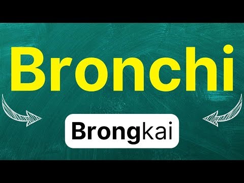 How to pronounce: Bronchi "bronchi" in American English with examples