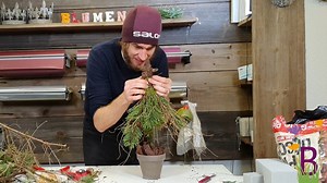 134K views · 1.6K reactions | Aus der Natur deinen Weihnachtsbaum selber machen DIY Inspiration vom Blumenmann Bist du noch nicht in Weihnachtsstimmung? Hier gibt es die passende Musik dazu: https://christmasradio.fm/ | Der Blumenmann - DIY Deko Ideen by Flora-Line, Grosshöchstetten | Facebook