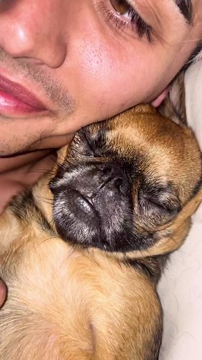 He stopped breathing🥺😅 | dolphins getting tired of breathing