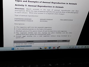 Activity 5: Asexual Reproduction in AnimalsDirections: Match ... | Filo