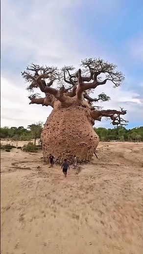 Places On Earth That Don't Feel Real #travel #nature #adventure #explorepage