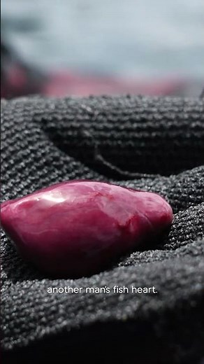 Hard lady 🐟❤️ South Seas Spearo l Tonight at 8.45pm on TVNZ 2 & TVNZ+