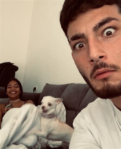 What is Nikki Doing? Funny Chihuahua Moments