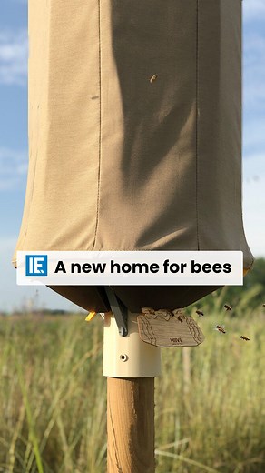 36K views · 288 reactions | These bee homes have more efficient hot and cold insulation than conventional hives. | Interesting Engineering | Facebook