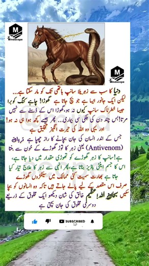 The Amazing Role of Horses in Saving Human Lives from Snake Venom#SnakeVenom #Antivenom #Horse