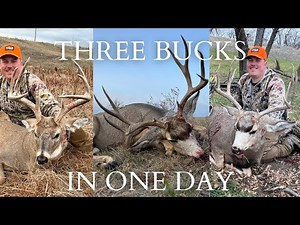 THREE BUCKS IN ONE DAY! | South Dakota Mule Deer and Whitetail | Rifle and Archery Hunting