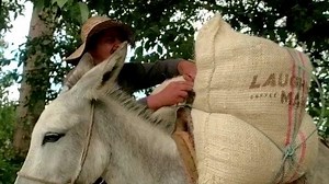 Awaken your senses. Laughing Man K-Cups pods & coffee bags are now 20% off at laughingmancoffee.com. Code: TRUCE20 | Offer ends 2/13 | Laughing Man Coffee