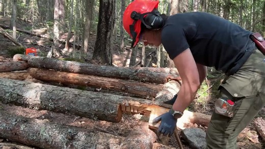 She built a log cabin alone in the mountains… it was below freezing outside