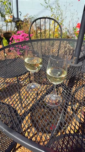 Oh princess, princess…” She’s obviously in the courtyard living her best wine life. 🍷#wineheartbeatofroanoke | Jolly Grape