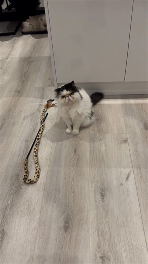 23K views · 3.4K reactions | Sweet cheeks! | The Magnificats | Facebook