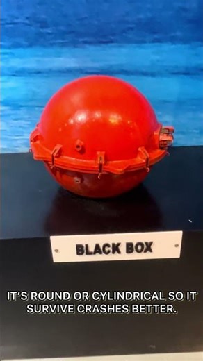 Airplane Black Box Isn’t Black?! 😳 Aviation Fact #BlackBox #Aviation #FlightFacts #Shorts
