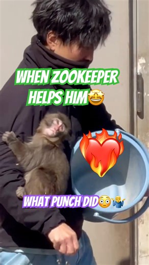 #zookeepers and Punch #shorts