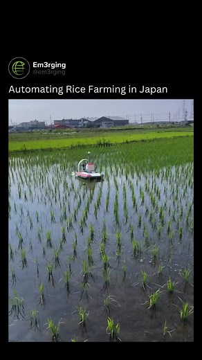 The Future of Japanese Farming: Automation and Smart Technologies