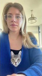 Clingy cat #catshorts #funnyanimals #catlovers #animals