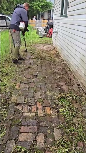 The Most Satisfying Yard Transformation Ever #lawncare #beforeandafter #oddlysatisfying