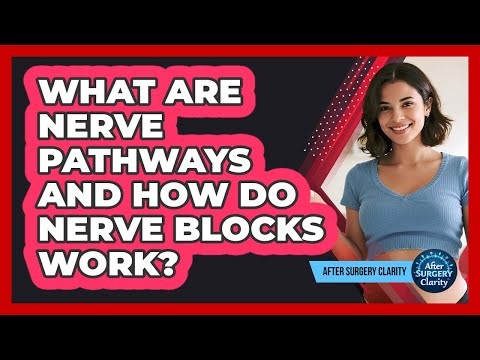 What Are Nerve Pathways And How Do Nerve Blocks Work? - After Surgery Clarity