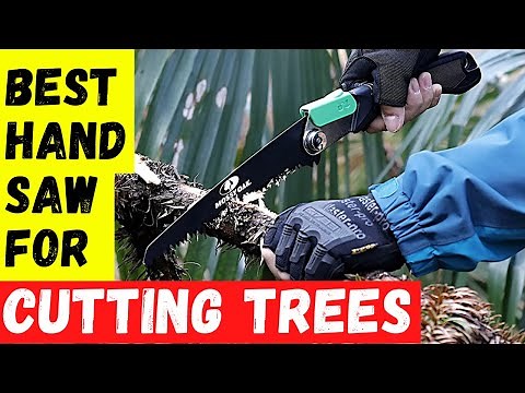 Best Hand Saw For Cutting Trees