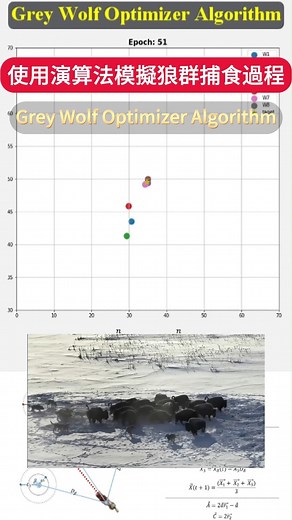 工程師の師 on Instagram: "👇 "透過模擬灰狼捕食，深入了解自然生態中的競爭與求生" 探索自然智慧，揭示隱藏規律！利用Python撰寫灰狼優化演算法，模擬狼群捕食過程。憑藉Matplotlib呈現結果，深入理解並應用於優化問題。無論是追求最佳解決方案或優化設計，灰狼演算法GWO是您值得信賴的選擇。探索自然之智，開啟優化之門。 Explore natural intelligence, uncover hidden patterns! Utilize Python to implement the Grey Wolf Optimization (GWO) algorithm, simulating the process of wolf pack hunting. With Matplotlib, visualize the results, gaining a deeper understanding and applying it to optimization problems. Whether pursuing the best solution or optim