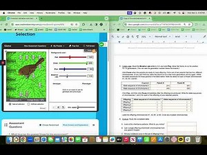 Mutation and Natural Selection Gizmo - Instructional Video