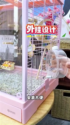 Birds have delicate digestive systems and are prone to diarrhea from drinking dirty water. This