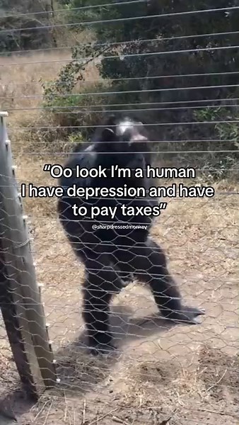 ☝️🤓 #fyp #monke #viral #meme | I Have To Go To Work