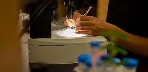 Bioéthique : doit-on soigner les embryons ?