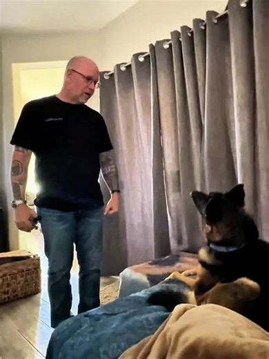 No one can harm my mother #dogandbaby #funny #pet #dogsoftiktok #dog | Dog Of TikTok