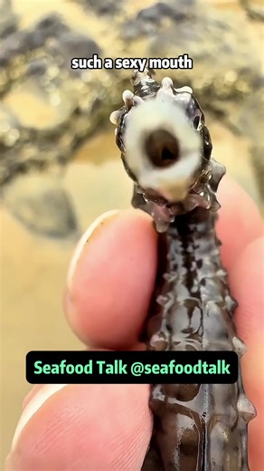 Electric Eel and Seafood Adventure: A Culinary Journey