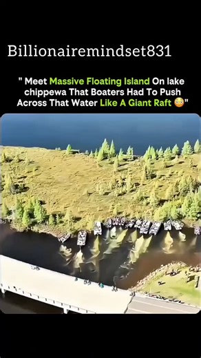 billionaire on Instagram: "A drifting landmass shocked boaters as the lake itself seemed to break free and move 🌊🪵 What looks like a solid island calmly floating across Lake Chippewa is actually a rare natural formation created over many years. Layers of peat, tangled roots, decaying vegetation, and soil slowly separated from the shoreline, forming a massive floating mat. Trapped gases from decomposing plants increased buoyancy, allowing the entire section to lift and drift like a giant natura