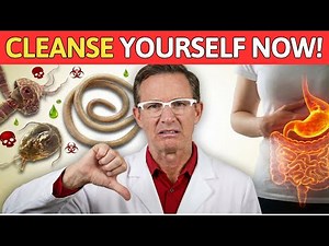 How To Do A Parasite Cleanse In 3 Steps? Parasite Cleanse For Humans Natural Tips