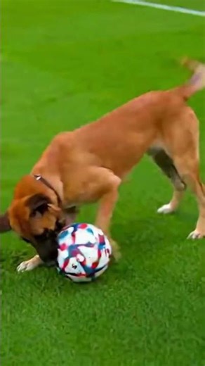 Unbelievable Moment! (Caught on Camera)