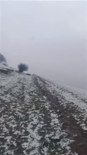 Afshin Heidarzadeh | ‎بنام افریدگار بلندای ارامش Kim olorsan ol adam ol✍️✍️✍️✍️ insaniyaton olsin allah dan gorx olim var satti yox #ایران #وطن #موسیقی #خانواده...‎ | Instagram