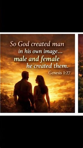 Genesis 1: The Main Verses of Creation | Bible Visuals.