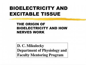 BIOELECTRICITY AND EXCITABLE TISSUE - SlideServe