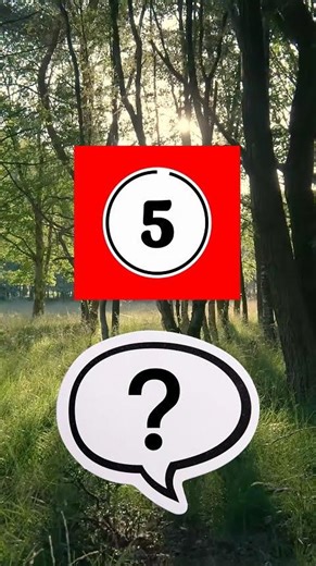 이거 틀리면 클래식 모르는 겁니다 🎼🔥 #클래식음악 #modeclassic #classicalmusic