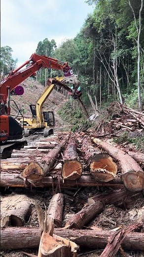 Tree Processing | Japanese Forestry