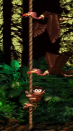 Donkey Kong Country