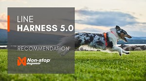 2.4K views · 83 reactions | Introducing the Line harness 5.0! Still...