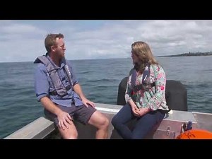 What are SMART drumlines, where are they located and is there bycatch?