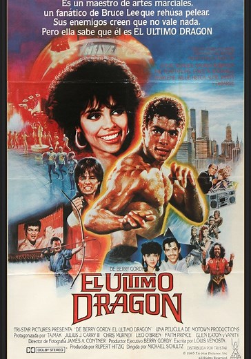 El último dragón - película: Ver online en español