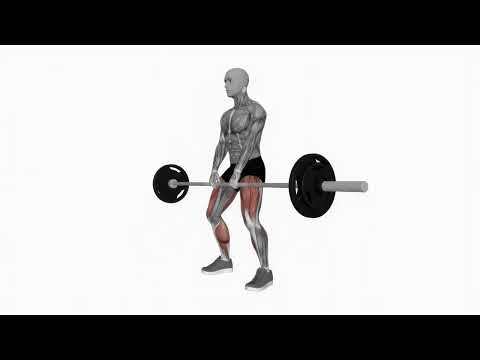 Barbell Sumo Deadlift - Proper Form & Technique [4K]