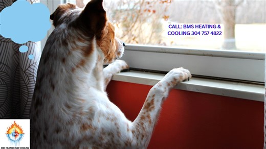 BMS Heating and Cooling on Reels