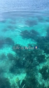 24K views · 711 reactions |  Life in Belize is a rhythm you feel, slow mornings, sun-kissed afternoons, and ocean breezes that never quit ☀️ From reef adventures and jungle escapes to rich cultures and laidback island vibes, this isn’t just a vacation, it’s a way of life. Would you live like this?  #TravelBelize #Belize : mia.pollardd | Travel Belize | Facebook
